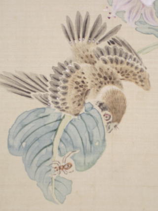 ギボシ花に雀図